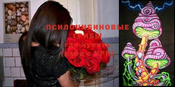 скорость Михайлов