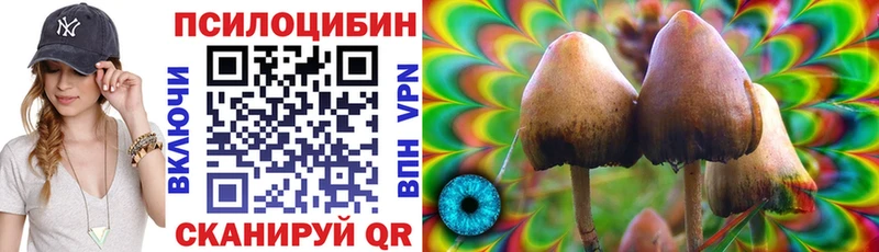 Псилоцибиновые грибы Magic Shrooms  Купить закладки  Жуков 
